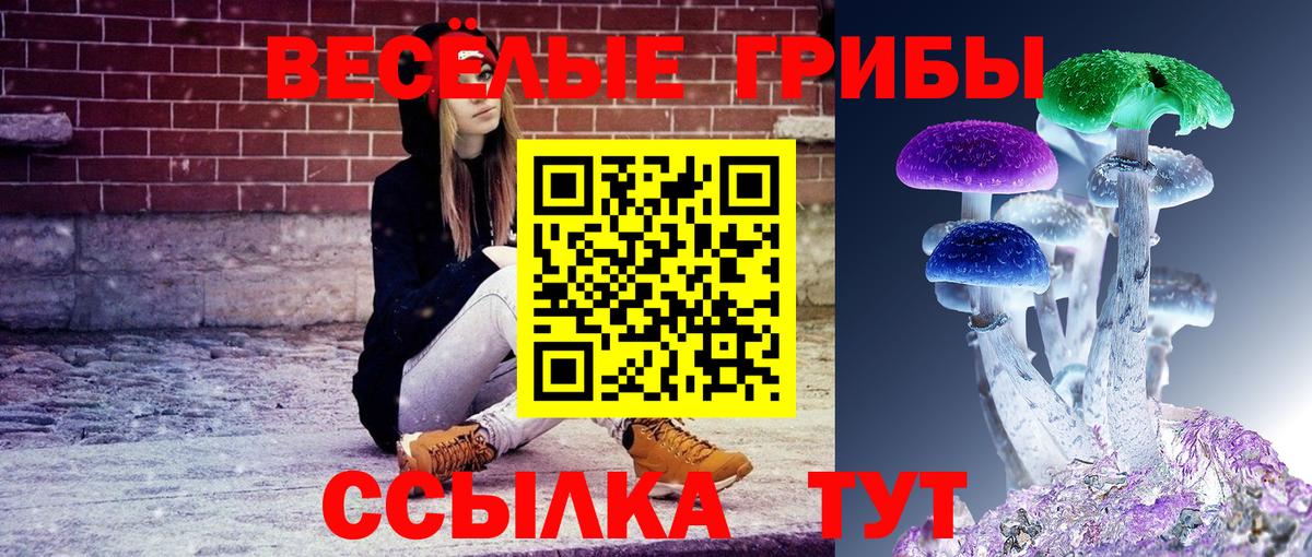 Галлюциногенные грибы GOLDEN TEACHER  Псилоцибиновые грибы Psilocybine cubensis  Россия  Вход с VPN 